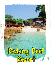 redang reef